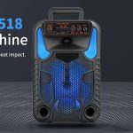 Elimavi Karaoke Machine with Microphone, 8 inch Portable Speaker and LED Colorful Lights, Subwoofer PA System with Remote Control Supports TF Card/USB/FM/AUX/TWS/MIC (8 inch)
